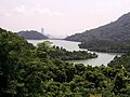 Shing Mun Reservoir Jubilee Reservoir