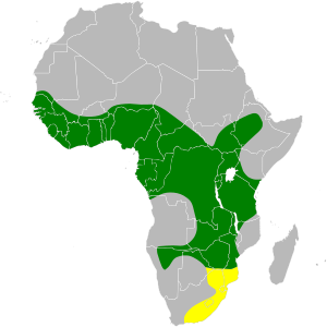 Flave: reproduktejoj; verde: la tutan jaron.