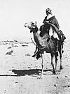 T.E. Lawrence "av Arabien" ridande på kamel vid Akaba 1917.