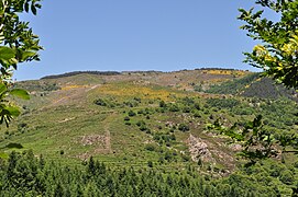 Le col de la Faye vu d'Albon