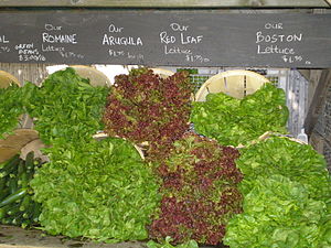 Lettuce Cultivars by David Shankbone, New York...