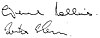 Maastricht Signature Ireland.jpg