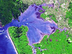 Manukau Harbour (satellite image).jpg