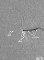 Pols marciana a Amazonis Planitia. 10 d'abril de 2001.vídeo (02:19)