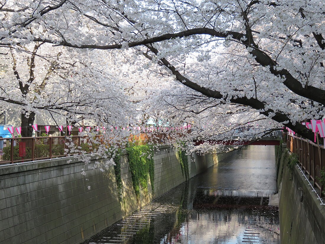 Meguro River, Tokyo