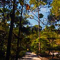 Path Leading from Garden