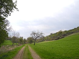Blick vom Mäusegrund: rechts die ehemals ungesicherte Abbruchkante der Wallburg