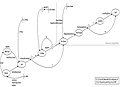 Neighbor state diagram for OSPF