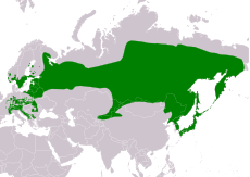 Mapa rozšíření ořešníka kropenatého