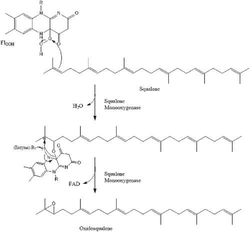 Oxidosqualene.gif