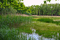 Přírodní památka rybník Strašidlo