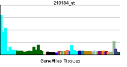 PBB GE ITGAX 210184 at tn.png