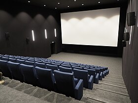 Petite salle de cinéma.