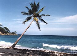 Playa del Cayo Levantado