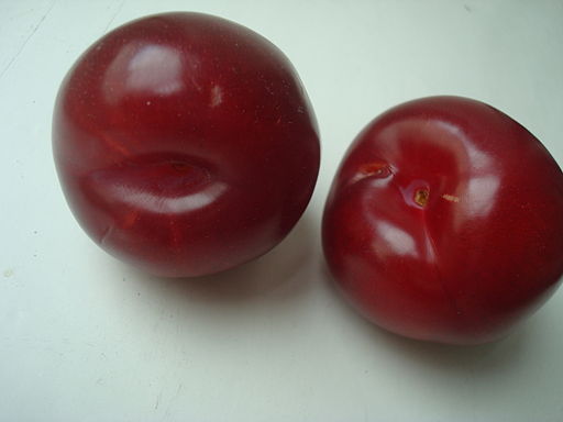 Plums (two)