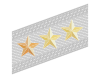 Rank insignia of generale di divisione con incarichi superiori of the Alpini.svg