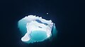 Aerial view of an iceberg floating in Sarqarput Strait