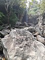 Thenaruvi water falls in dense forest about 5 km from Courtallum