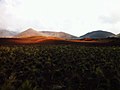 Vulcano Haleakala.
