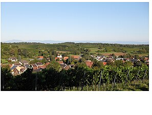 Gezicht vanaf de wijnbouwhellingen op het dorp Zunzingen