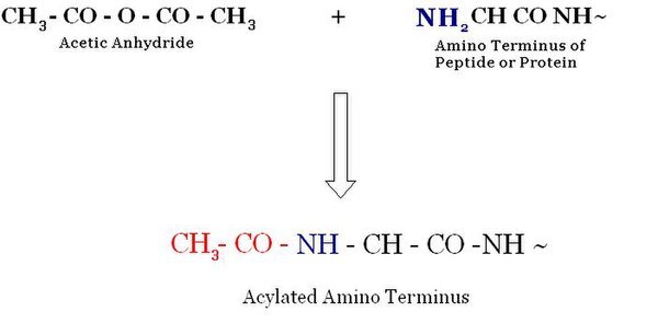 Acetylation Reaction