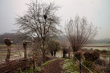 Auried: Blick vom Turm auf heraufführenden Weg