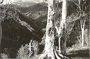 Австралийский коммандос на Тиморе 1942.jpg