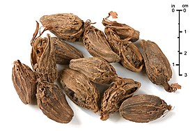 BlackCardamom.jpg