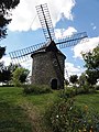 Molen