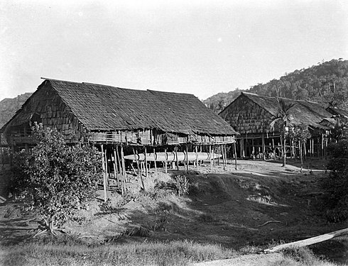 Longue maison Kenyah