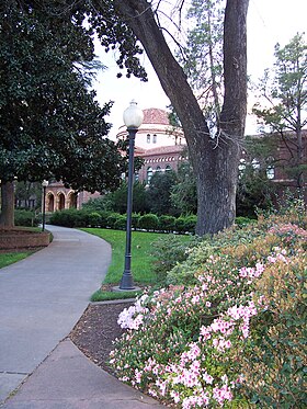Chico State campus in the spring.jpg