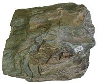 Schist Garnet