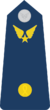 Chuẩn Úy-Airforce-1.png