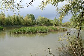 Vilanova de la Barca