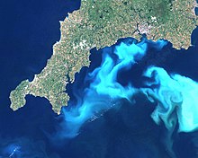 This algae bloom occupies sunlit epipelagic waters off the southern coast of England. The algae are maybe feeding on nutrients from land runoff or upwellings at the edge of the continental shelf. Cwall99 lg.jpg
