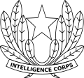 Directorate of Military Intelligence