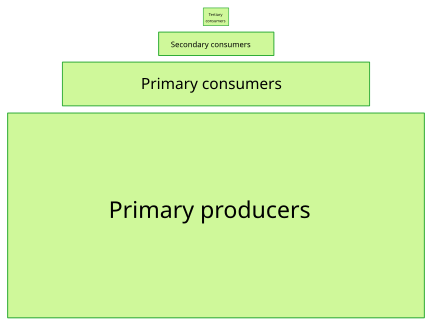 File:Ecological pyramid.svg