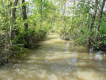 Le Farganaud en crue, à l'ouest du bourg (mai 2012).