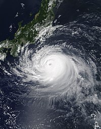 台風第15号（9月8日）