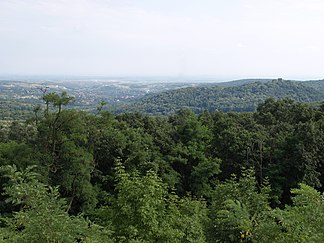 Blick von der Fruška Gora nach Süden