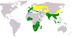 Amarelo: Área de reprodução no verão (visitante); Verde: Área de reprodução (residente); Azul: Não-reprodutiva no inverno (visitante)