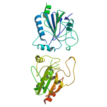 GlutPeroxidase-1GP1.png