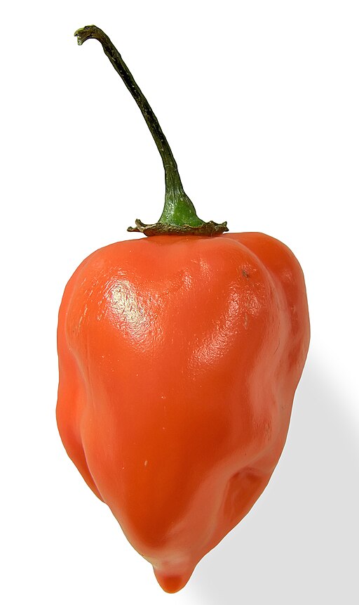 'Habanero closeup edit2' by Fir0002 at en.wikipedia [CC-BY-2.5 (http://creativecommons.org/licenses/by/2.5)], from Wikimedia Commons