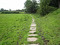 À Kirkandrews-on-Eden, près de l'extrémité occidentale du sentier.