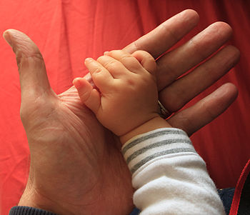 يد طفل يبلغ من العُمر تسعة أشهر في يد والده البالغ من العمر 39 سنة