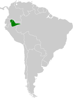 Distribución geográfica del saltarín crestinaranja.
