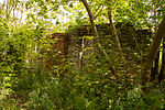 Hyde Mill Ruins