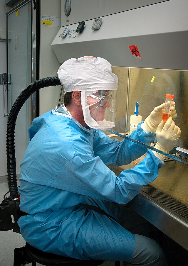 Influenza researcher using a level 3 biosafety cabinet