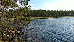 Läntisimmän järven itärantaa, näkymä koilliseen