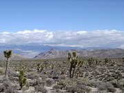 Typical desert scene in the Las Vegas area.